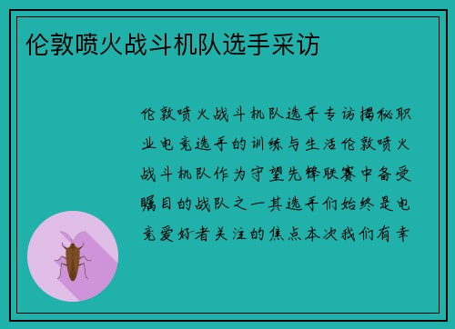 伦敦喷火战斗机队选手采访